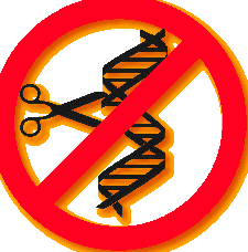 Los peligros de la manipulación genética.