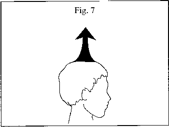 Figura 7.