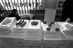 Protesta contra los alimentos transgénicos en Madrid (Gorka Lejarcegi).